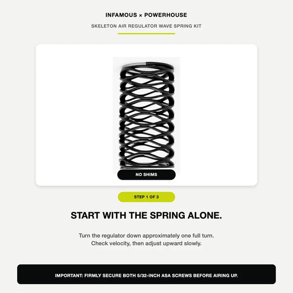 Skeleton Air Regulator Wave Spring Kit - EMEK